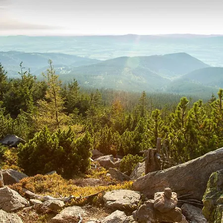 Czarna Gora 227 3* Siena